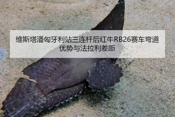 维斯塔潘匈牙利站三连杆后红牛RB26赛车弯道优势与法拉利差距